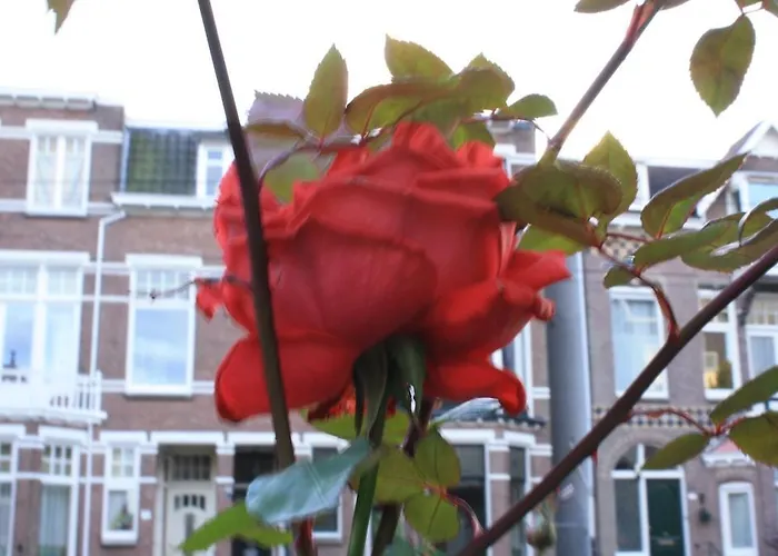 דירה Arnhem Studios